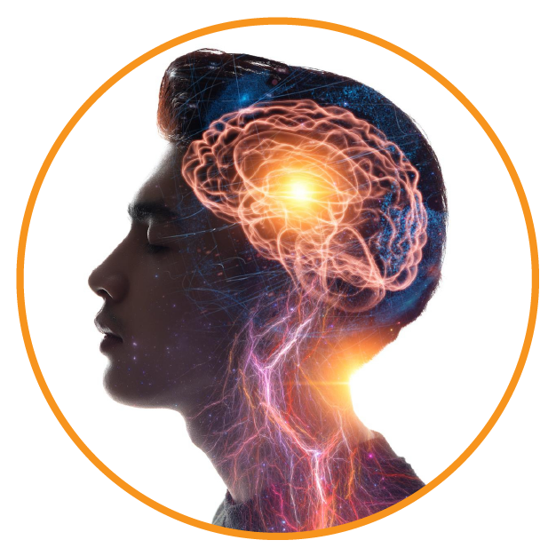 Brain memory collection