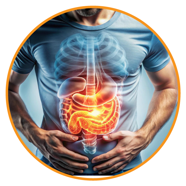 Digestive care