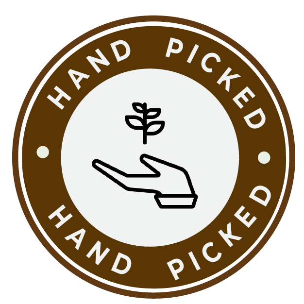 Hand Picked