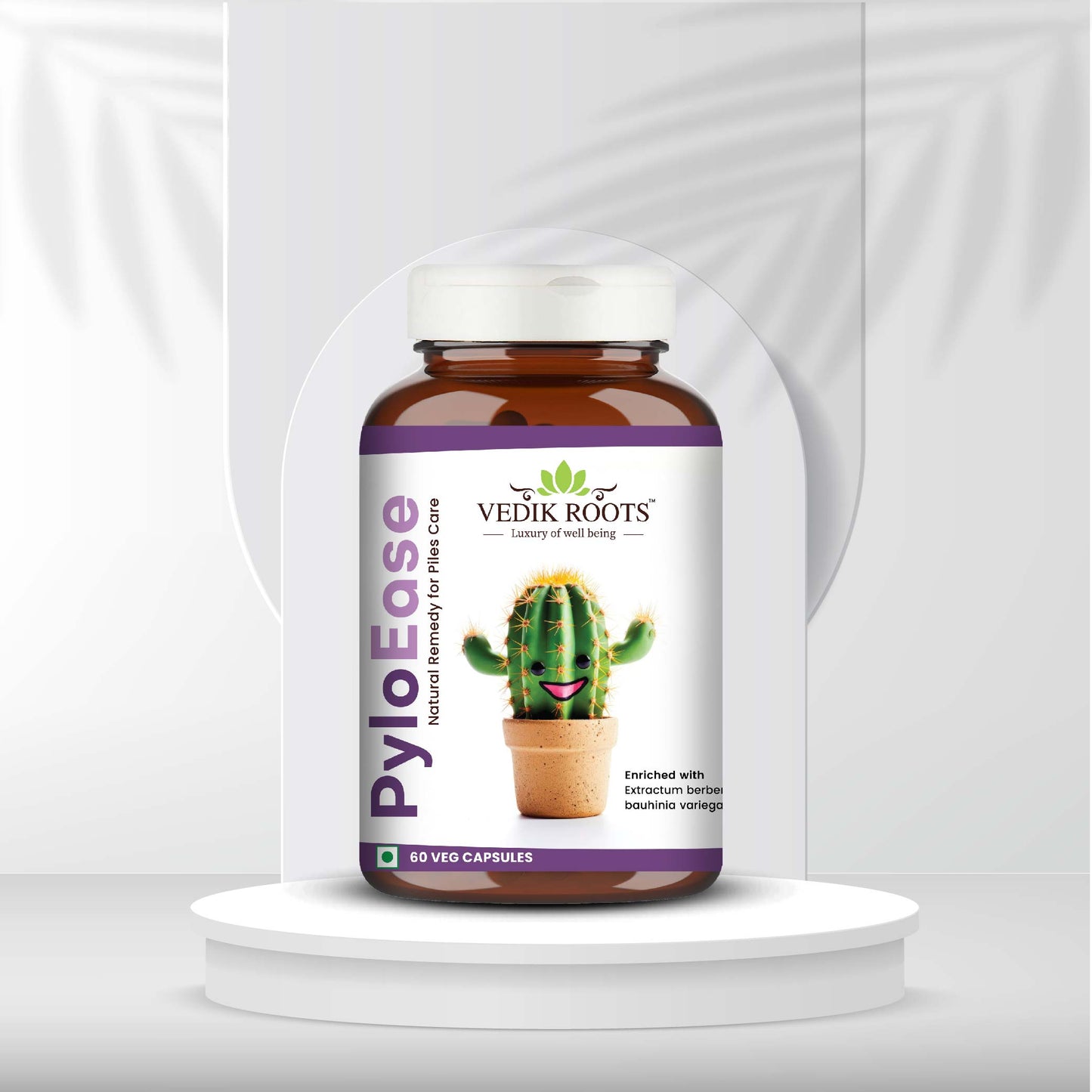 Ayurvedic medicine for curing piles