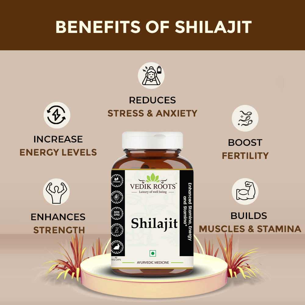 Shilajit benefits