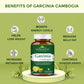 Benefits of garcinia