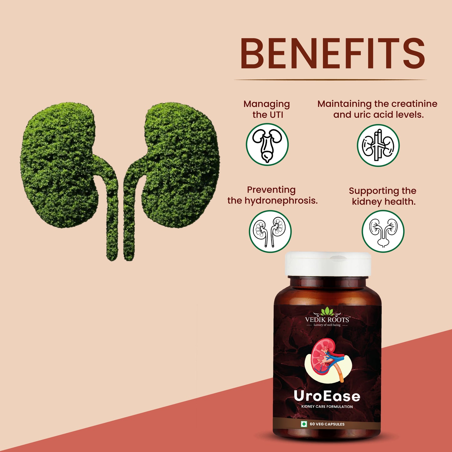 UroEase - Enhanced Kidney Health| Lowered UTI Chances| Helps Detox Kidney