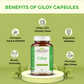 Benefits of giloy capsule