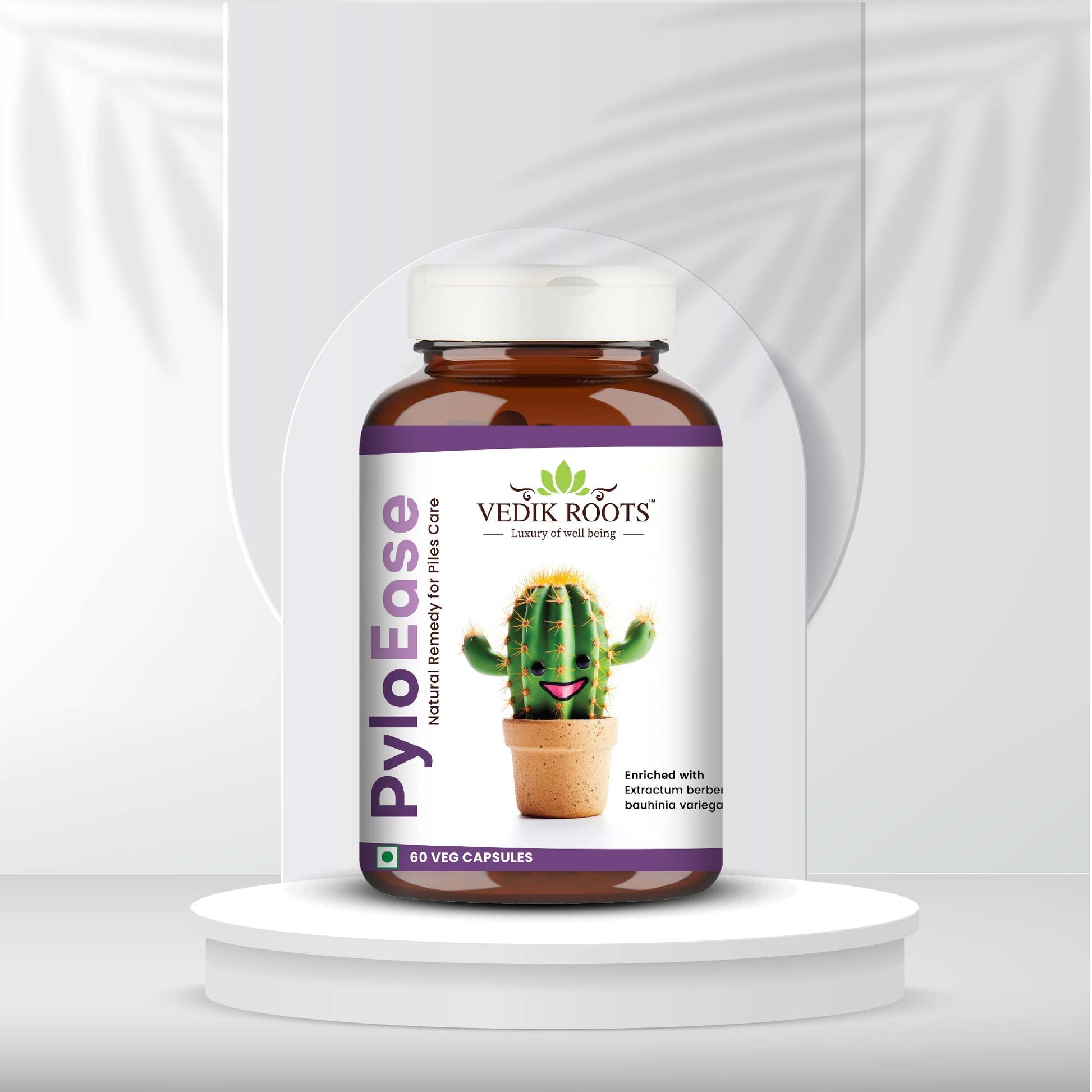 Ayurvedic medicine for curing piles