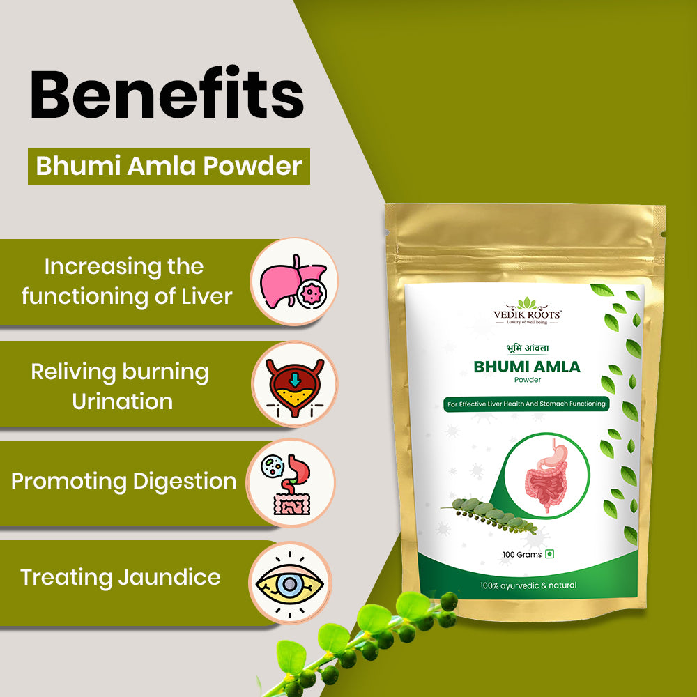 Organic and Pure 100% Bhumi Amla Powder (100 GM) - Enhance Liver Health and Digestive Power with Phyllanthus niruri