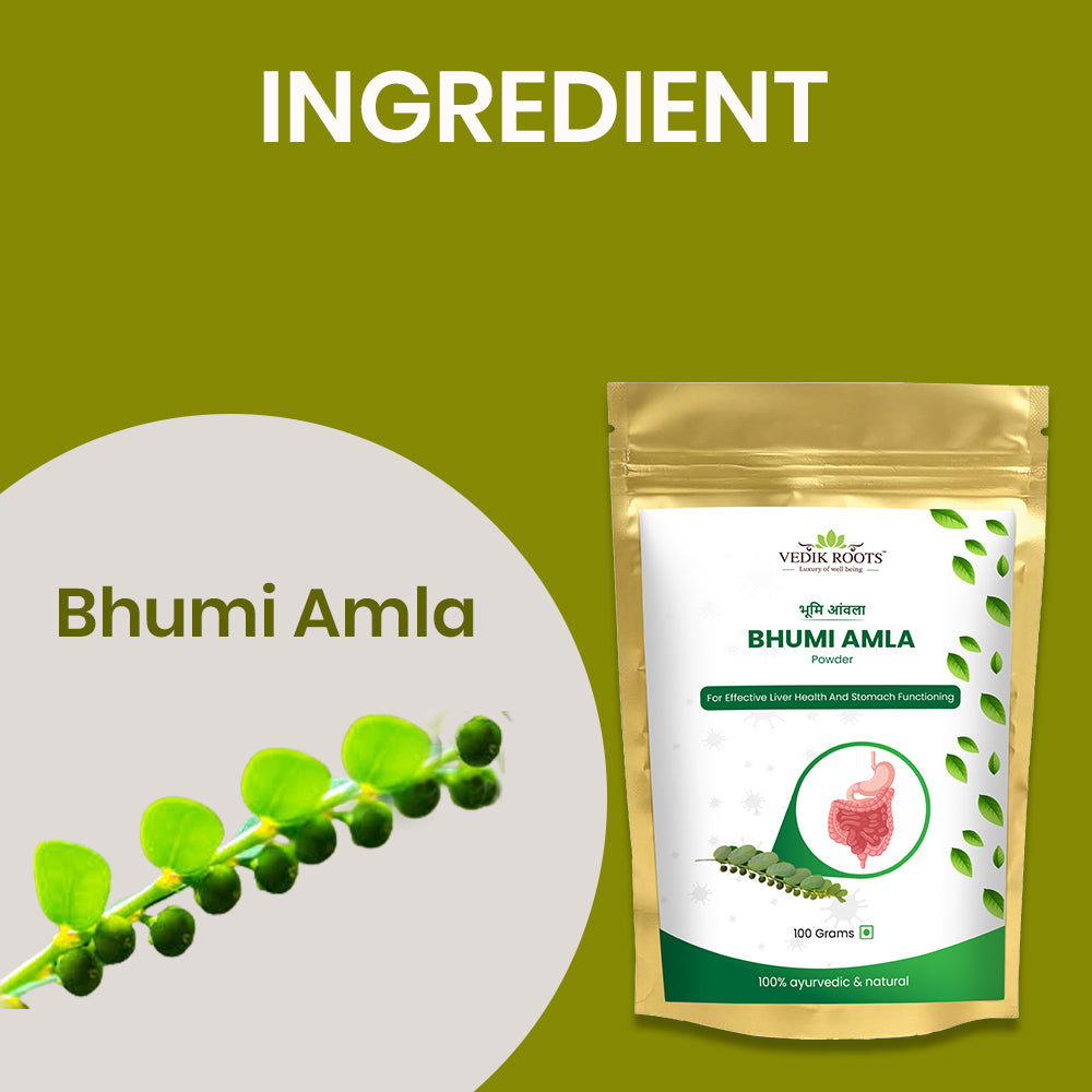 Organic and Pure 100% Bhumi Amla Powder (100 GM) - Enhance Liver Health and Digestive Power with Phyllanthus niruri