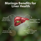 Benefits of Moringa Powder 