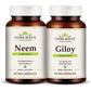 Vedikroots Immunity Enhancer Kit (Neem+Giloy Each 60 Capsules)